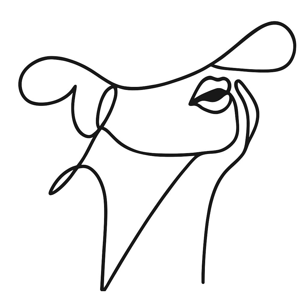 Black acrylic cake topper of a stylish woman in a wide-brimmed hat, abstract line art style