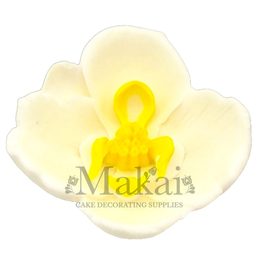 Large edible white orchid fondant flower with yellow centre for wedding cakes.
